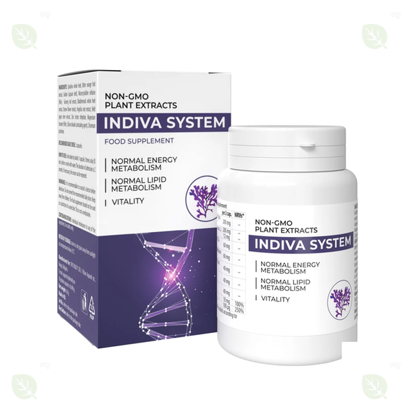 InDiva System